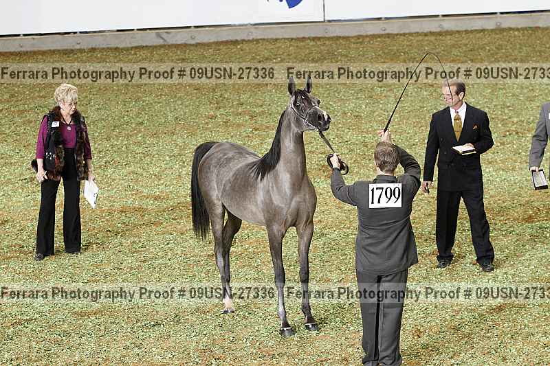 Proof 09usn-27336