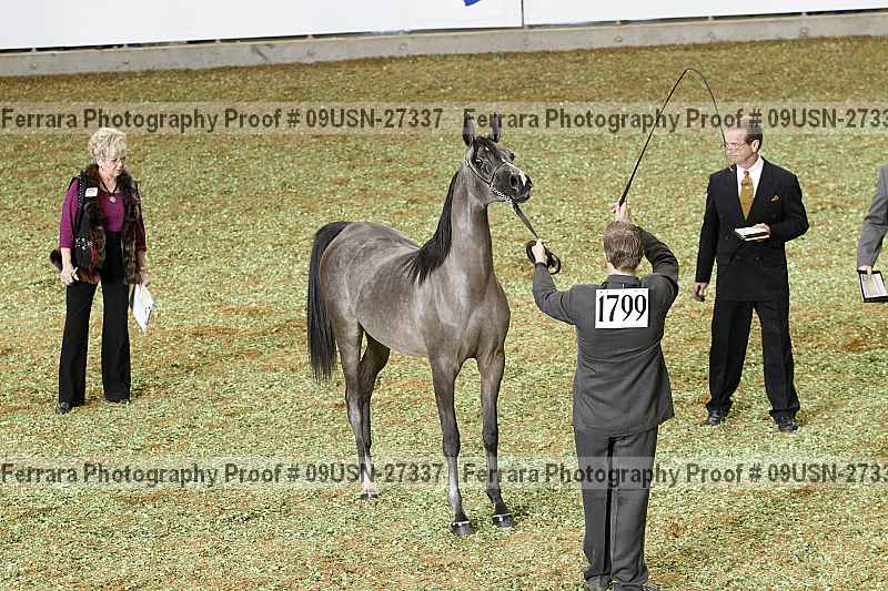 Proof 09usn-27337