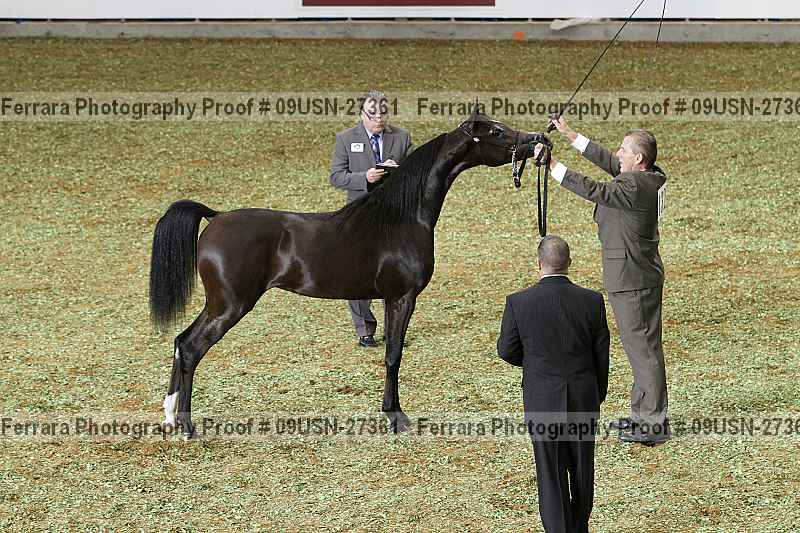 Proof 09usn-27361