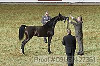 09usn-27361 proof