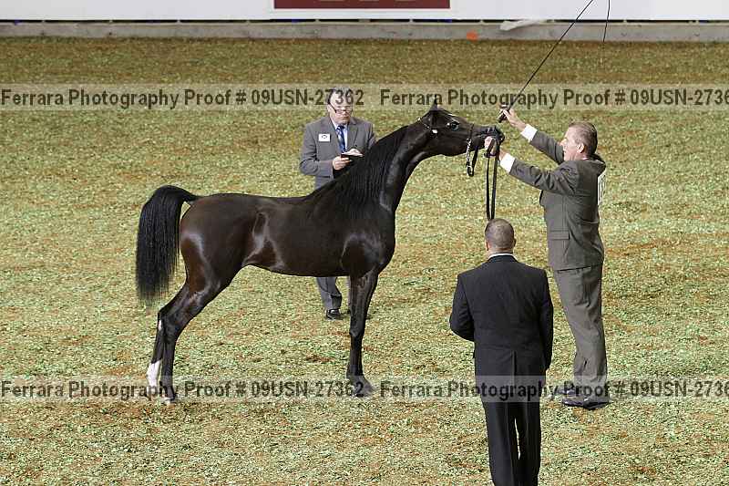 Proof 09usn-27362
