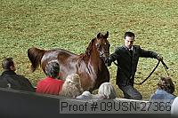 09usn-27366 proof