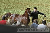 09usn-27367 proof