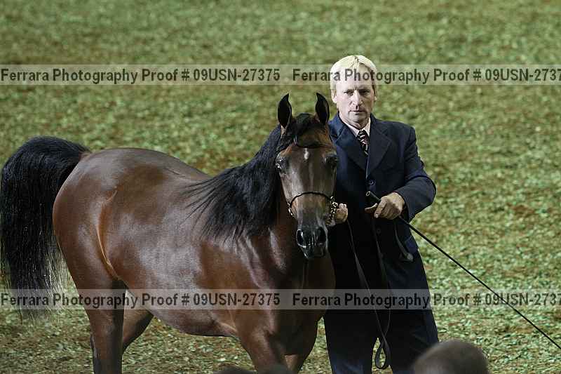 Proof 09usn-27375