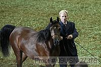 09usn-27375 proof