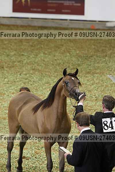 Proof 09usn-27403