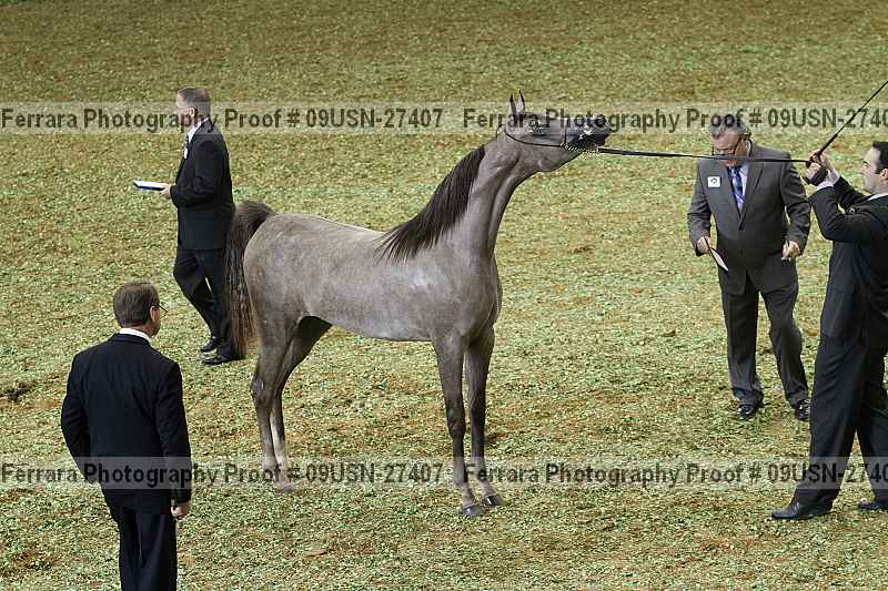 Proof 09usn-27407