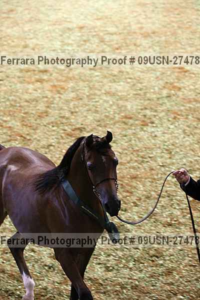 Proof 09usn-27478