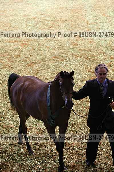 Proof 09usn-27479