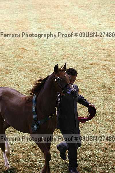 Proof 09usn-27480