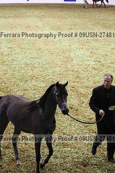 Proof 09usn-27481