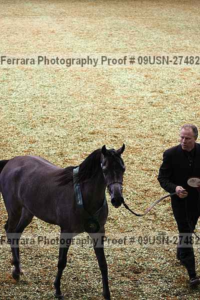 Proof 09usn-27482
