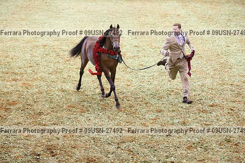 Proof 09usn-27492