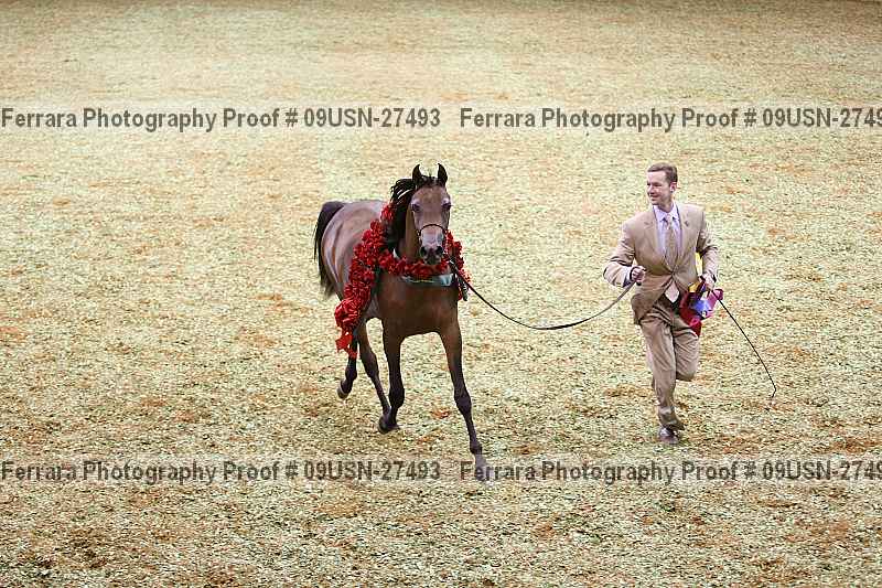 Proof 09usn-27493