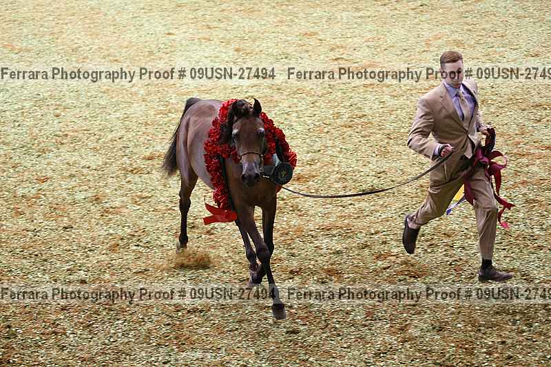 Proof 09usn-27494