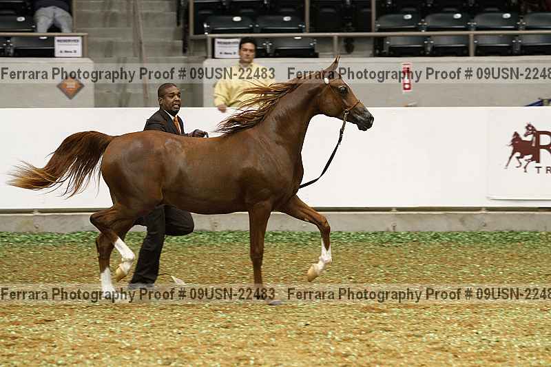 Proof 09usn-22483