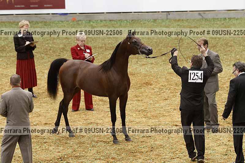 Proof 09usn-22506