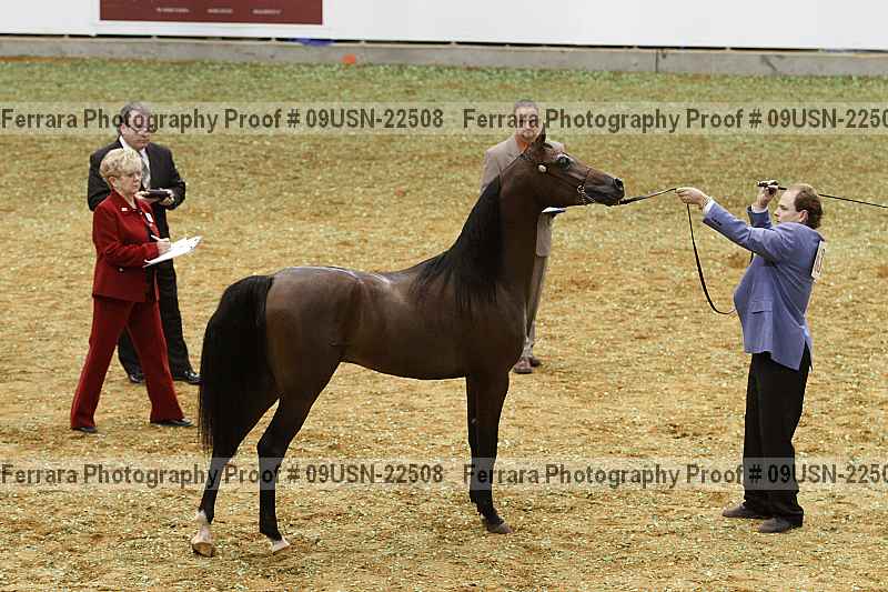 Proof 09usn-22508