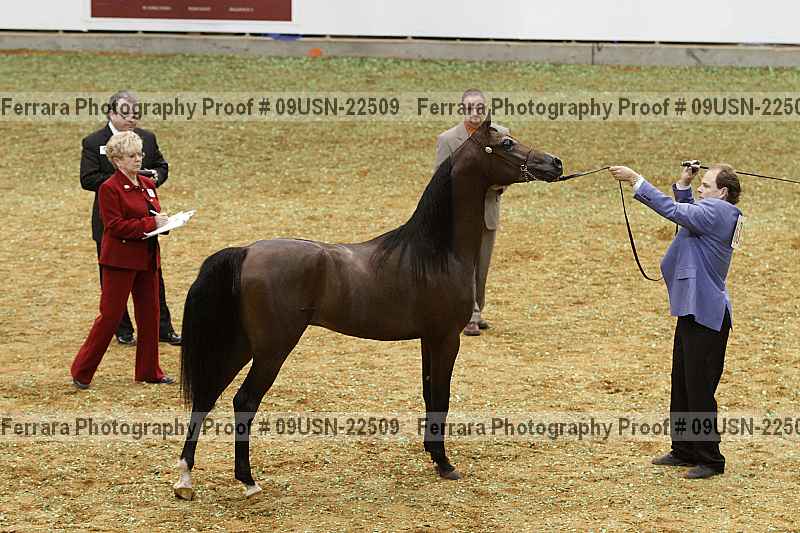 Proof 09usn-22509