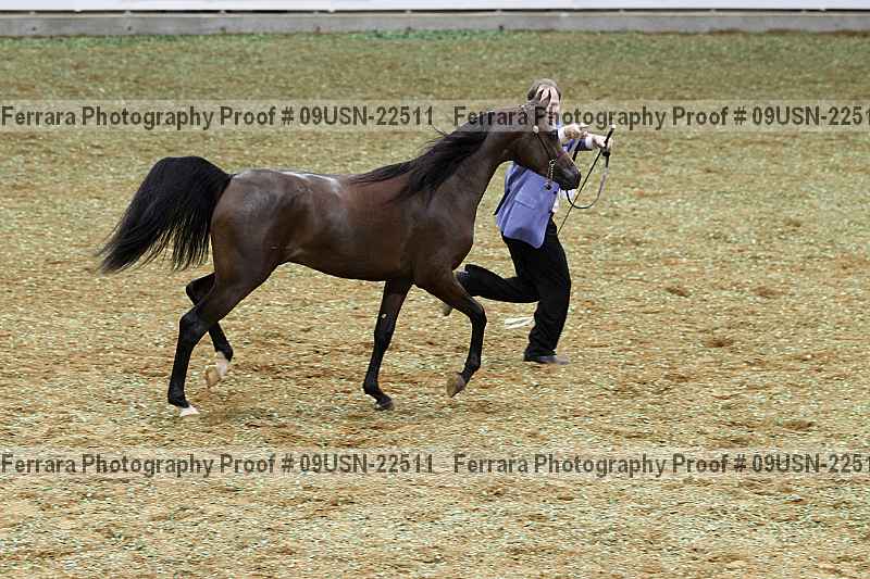 Proof 09usn-22511