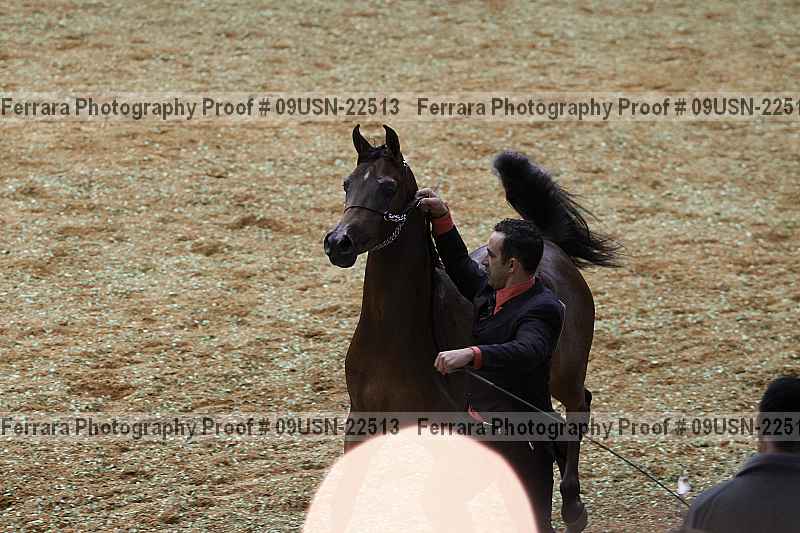 Proof 09usn-22513