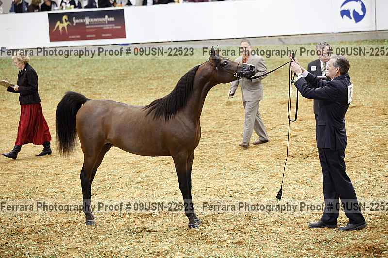 Proof 09usn-22523