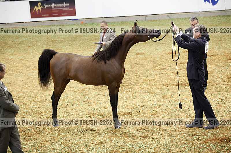 Proof 09usn-22524