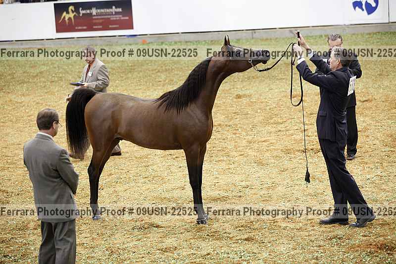 Proof 09usn-22525