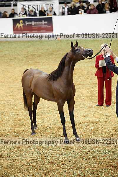 Proof 09usn-22531