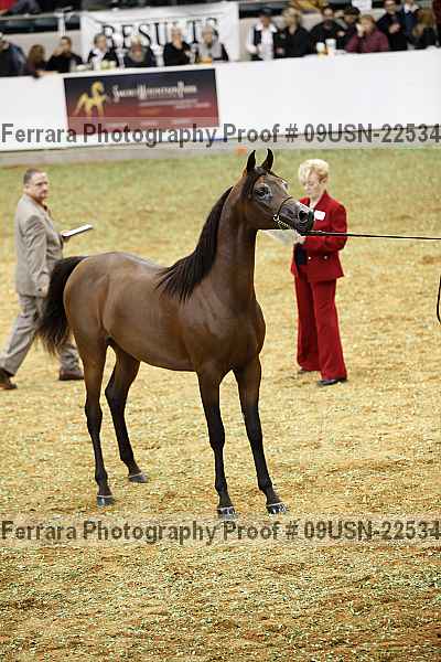 Proof 09usn-22534