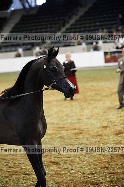 Proof 09usn-22577