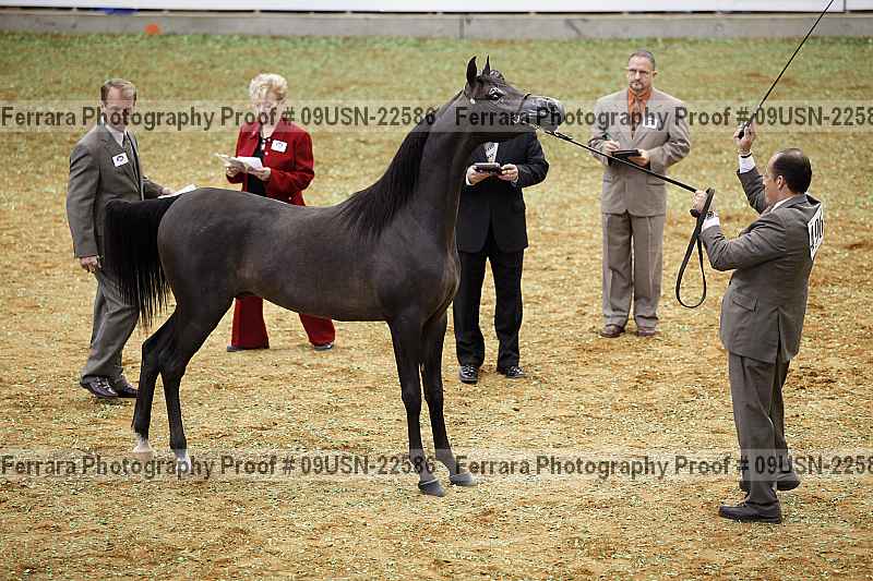 Proof 09usn-22586