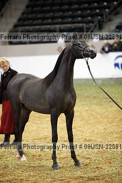 Proof 09usn-22591