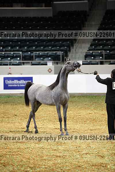 Proof 09usn-22601