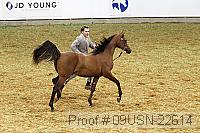 09usn-22614 proof