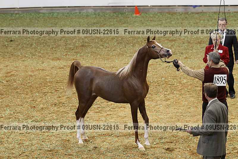 Proof 09usn-22615
