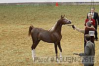 09usn-22615 proof