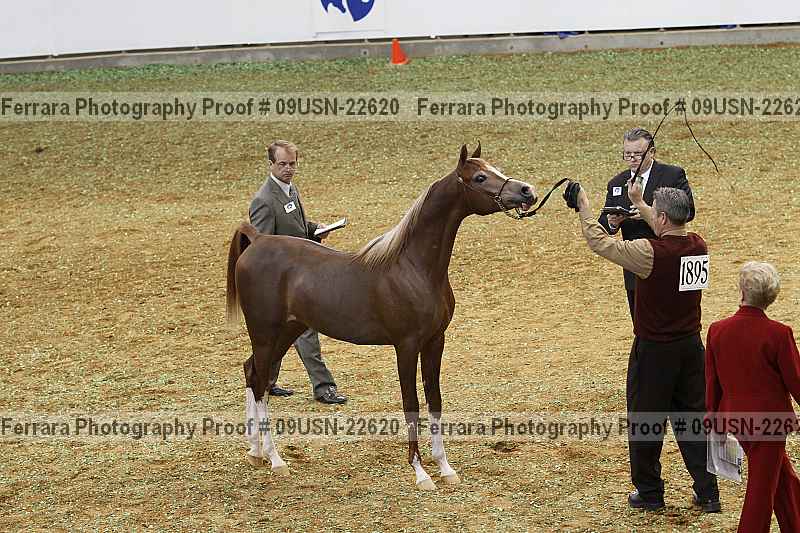 Proof 09usn-22620