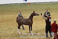 09usn-22620 proof
