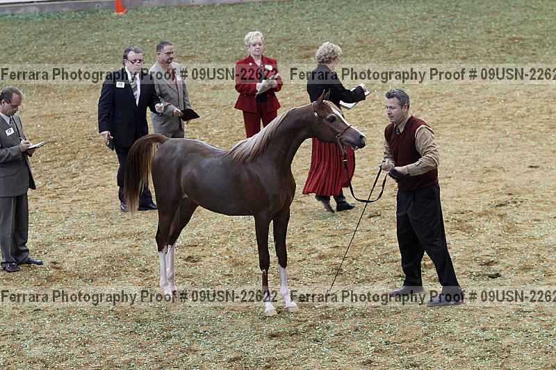 Proof 09usn-22622