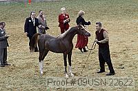 09usn-22622 proof