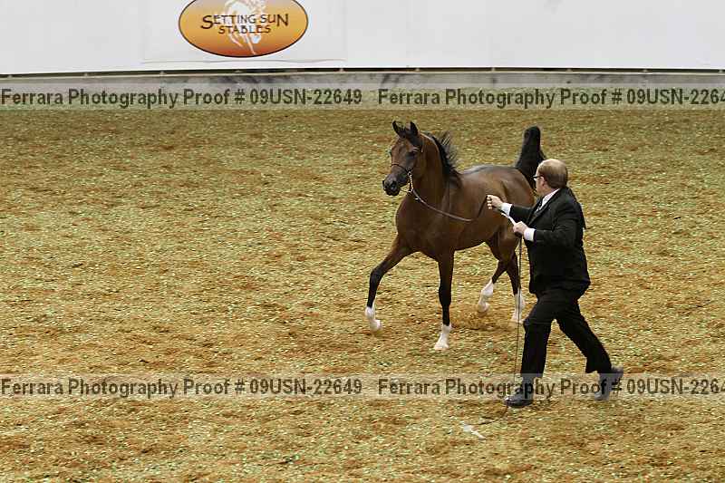 Proof 09usn-22649