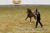 09usn-22649 proof