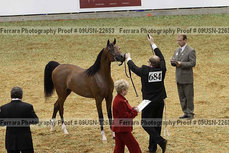 Proof 09usn-22653