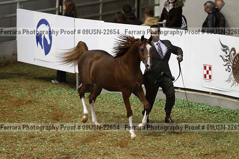 Proof 09usn-22654