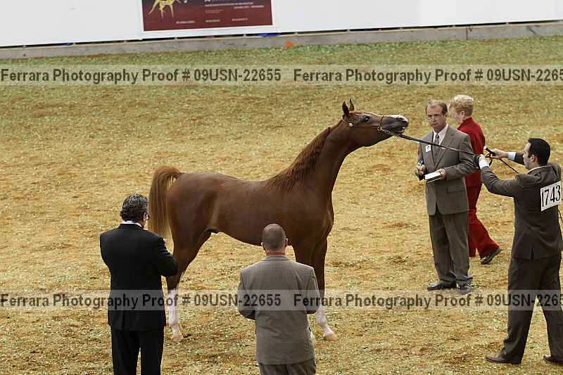 Proof 09usn-22655