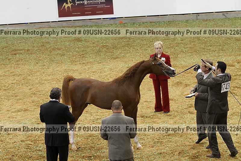 Proof 09usn-22656