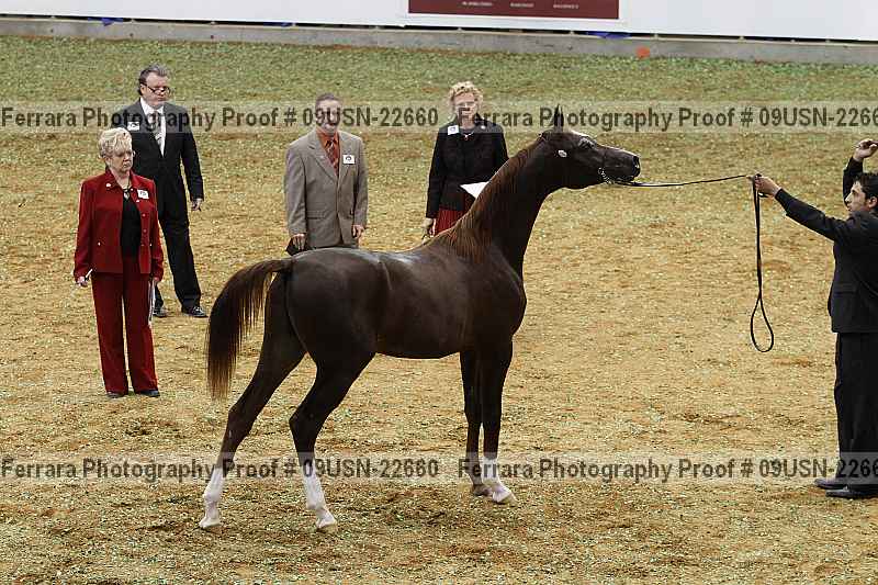 Proof 09usn-22660