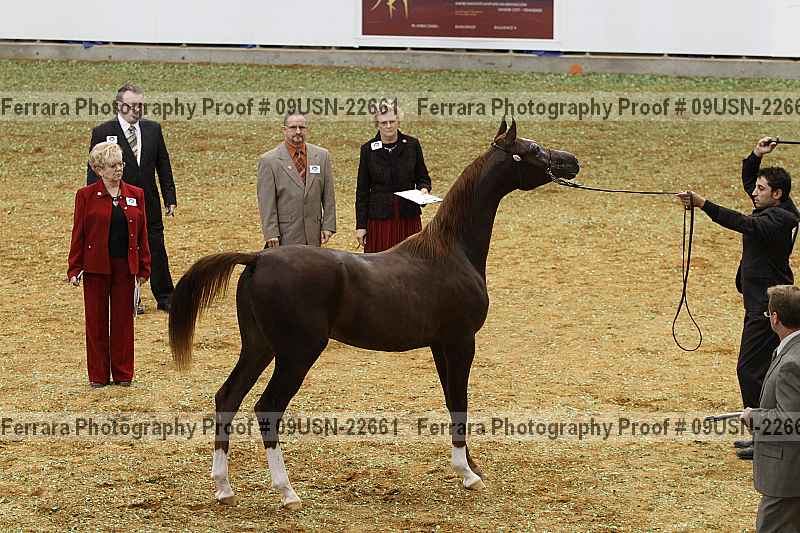 Proof 09usn-22661