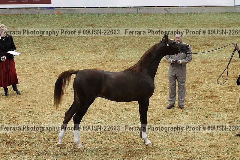 Proof 09usn-22663